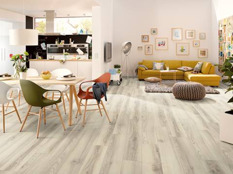 aranzacja dab alberta polarny